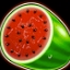 Stunning Hot Deluxe Watermelon
